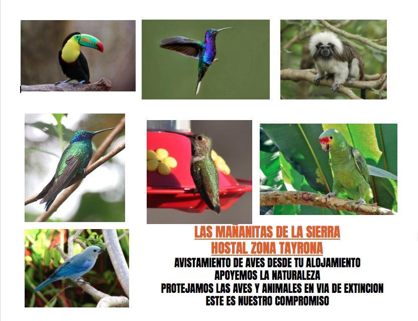 Las Mananitas De La Sierra El Zaino Exterior foto